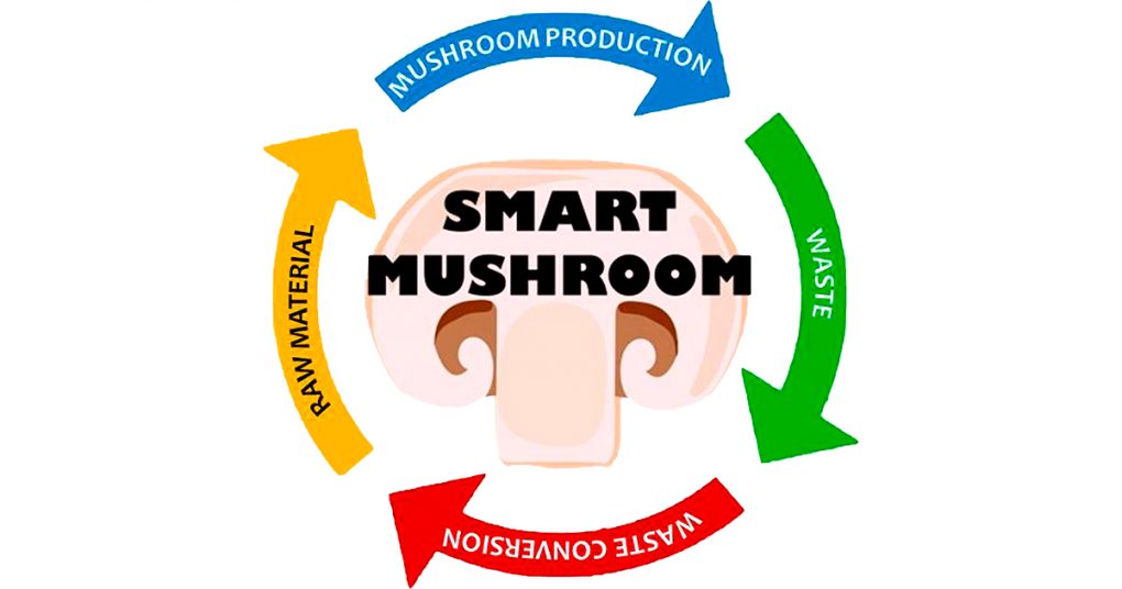 smart mushroom